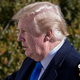 Image for article titled GTFOH Trump Watch: Cat Turd, Indeed